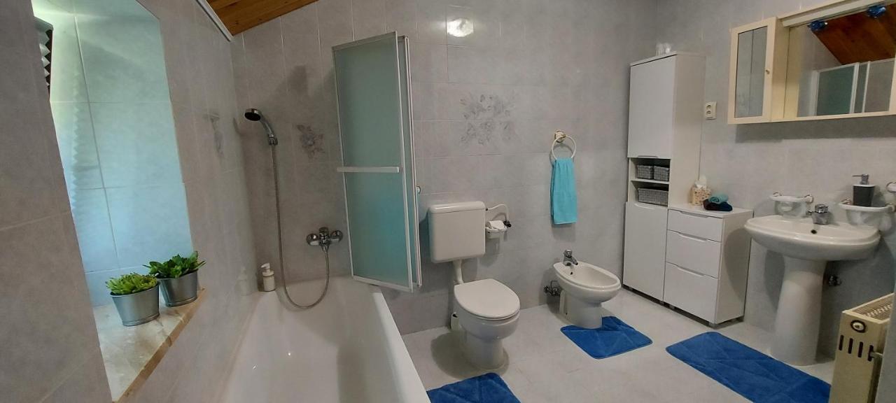 Breginj Apartma Pr' Ivani Miskorinovi מראה חיצוני תמונה